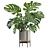 Tropical Monstera Houseplant Deluxe 3D model small image 6