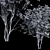Detailed Amelanchier Lamarckii Tree Model 3D model small image 3