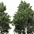 High Detail Carpinus Betulus Tree 3D model small image 3