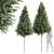 Detailed Carpinus Betulus Tree Model 3D model small image 1