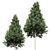 Detailed Carpinus Betulus Tree Model 3D model small image 3