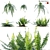 Fern 3D Models Bundle Pack 3D model small image 1