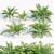  PBR Ferns Collection Vol.104 3D model small image 1