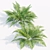  PBR Ferns Collection Vol.104 3D model small image 2