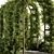 Outdoor Oasis Pergola Plant Set 3D model small image 2