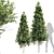 High Detail Carpinus Betulus Bush 3D model small image 1