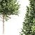 High Detail Carpinus Betulus Bush 3D model small image 2