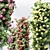Luxury Climbing Roses Columns Set 3D model small image 3