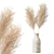 Pampas 02 3D Model Collection 3D model small image 1