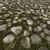 Seamless Algal Rock Texture Kit 3D model small image 3