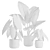 Exotic Alocasia Plants Set 3D model small image 3