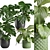 Exotic Interior Plants Bundle 3D model small image 2