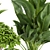Quality Indoor Plant Collection - Monstera, Peace Lily, Pothos 3D model small image 3