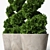 Modern Concrete Planter with Topiary Cypress 3D model small image 7