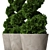 Modern Concrete Planter with Topiary Cypress 3D model small image 1