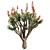 Sculptural Aloe Plicatilis 3D Model 3D model small image 3