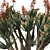 Sculptural Aloe Plicatilis 3D Model 3D model small image 6