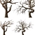 Desert Tree 3D Model Package 3D model small image 1