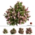 Springtime Azalea Flower Bush Kit 3D model small image 1