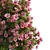 Springtime Azalea Flower Bush Kit 3D model small image 2