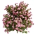 Springtime Azalea Flower Bush Kit 3D model small image 4