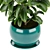 Rubber Leaf Indoor Plant 3D Model 3D model small image 5
