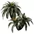 Luxury Cycas Revoluta Palm Tree 3D model small image 2