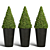 Modern Topiary Cypress Planters Set 3D model small image 1