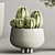 Cactus & Plant Collection 3D Model 3D model small image 4