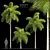 Wodyetia Bifurcata Palm Tree Brush 3D model small image 1