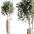 Modern Indoor Plant Set 3D model small image 4