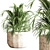 Modern Indoor Plant Set 3D model small image 5