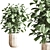 Modern Indoor Plant Set 3D model small image 6