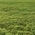 Flat Grass Pack: 14 Patterns 3D model small image 3