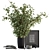 Exquisite Vase Plant Set 119 3D model small image 1