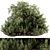 Outdoor Bush Garden Plant Set 3D model small image 1