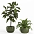 Shelf Plant Set | Modern Decor 3D model small image 2