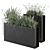 Plants in Outdoor Box Display 3D model small image 2