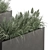 Plants in Outdoor Box Display 3D model small image 4