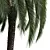 Exquisite Macrozamia Moorei Palm Collection 3D model small image 4