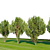 Chinese Thuja Tree Pair 3.3m 3D model small image 3