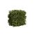 Prunus laurocerasus Topiary 3D Models 3D model small image 3