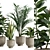 Indoor Exotic Plants Bundle Pack 3D model small image 2