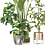 Modern Indoor Plant Collection 3D model small image 2