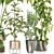 Modern Indoor Plant Collection 3D model small image 3