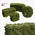 Prunus Topiary 3D Models 3D model small image 1