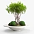 Versatile Concrete Planter - Besso 3D model small image 2