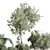 Concrete Vase Tree Bush Pot 3D model small image 3