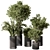 Indoor Greenery Duo in Pots 3D model small image 1