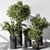 Indoor Greenery Duo in Pots 3D model small image 2